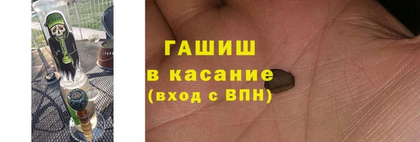 сатива Абинск