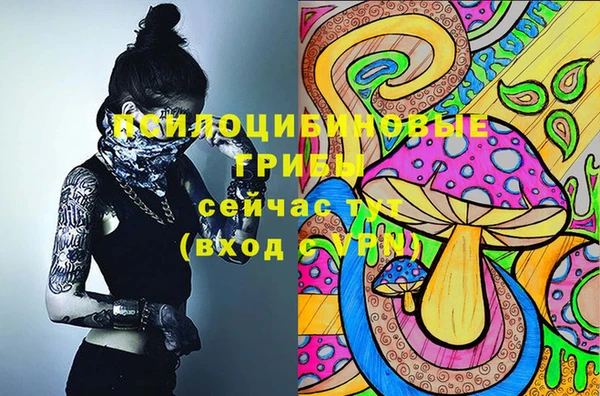 сатива Абдулино