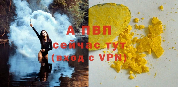 сатива Абинск