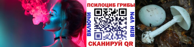 Галлюциногенные грибы GOLDEN TEACHER  Стерлитамак 